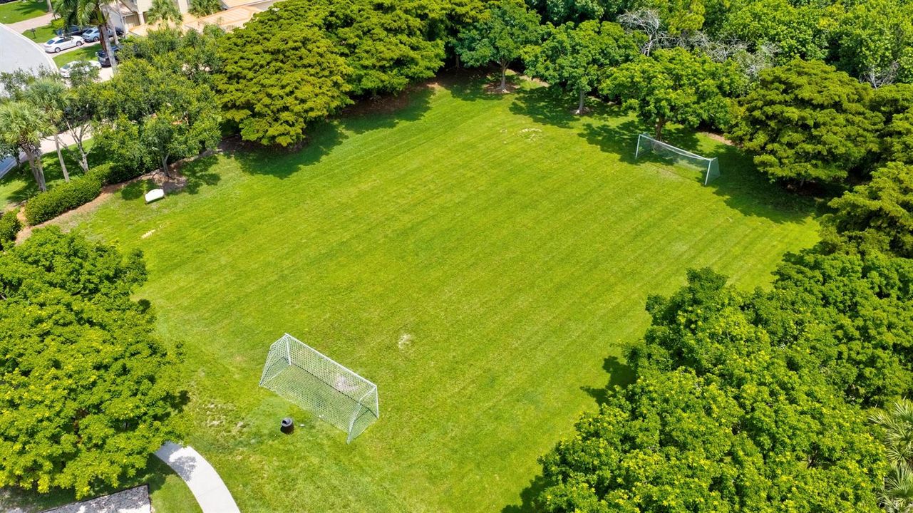 Aerial Shot