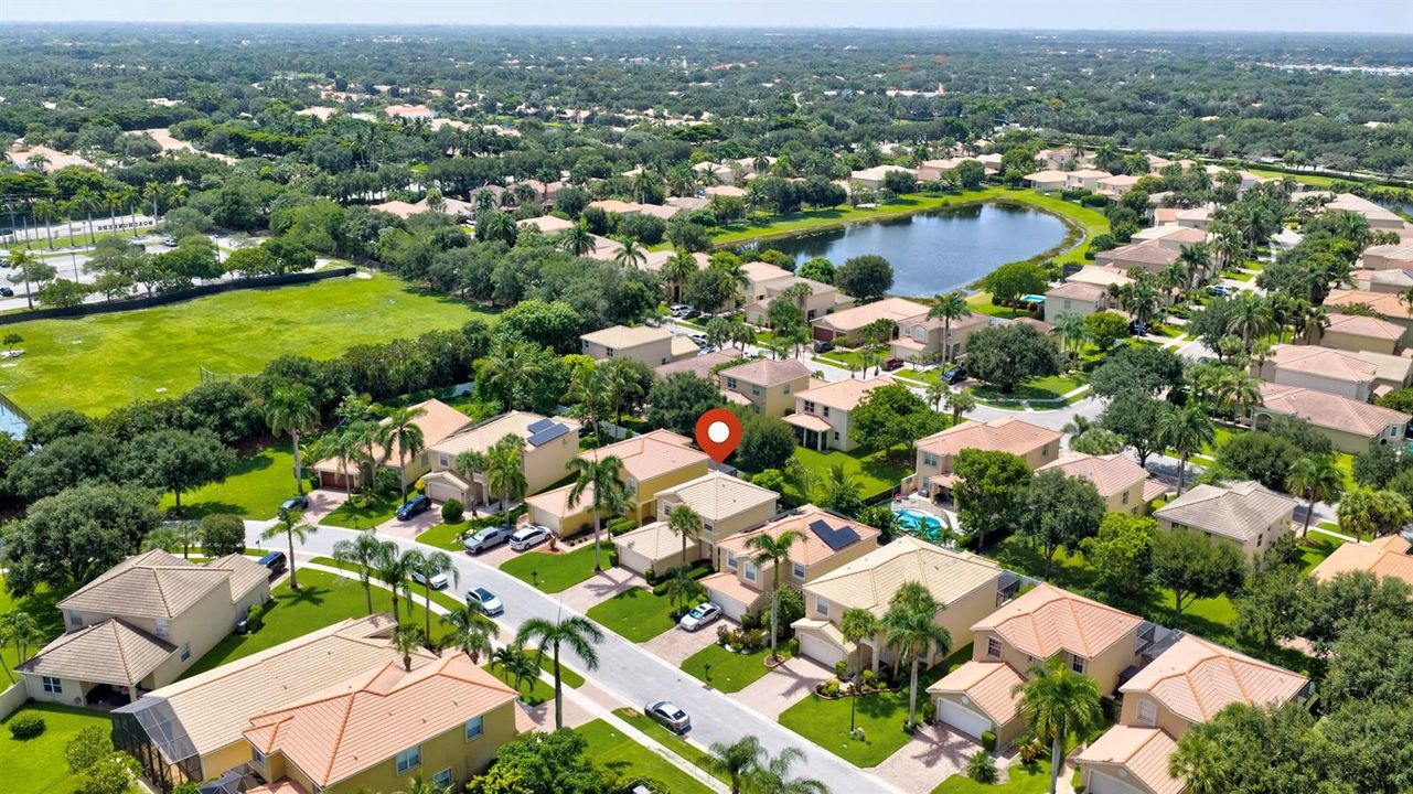 Aerial Shot