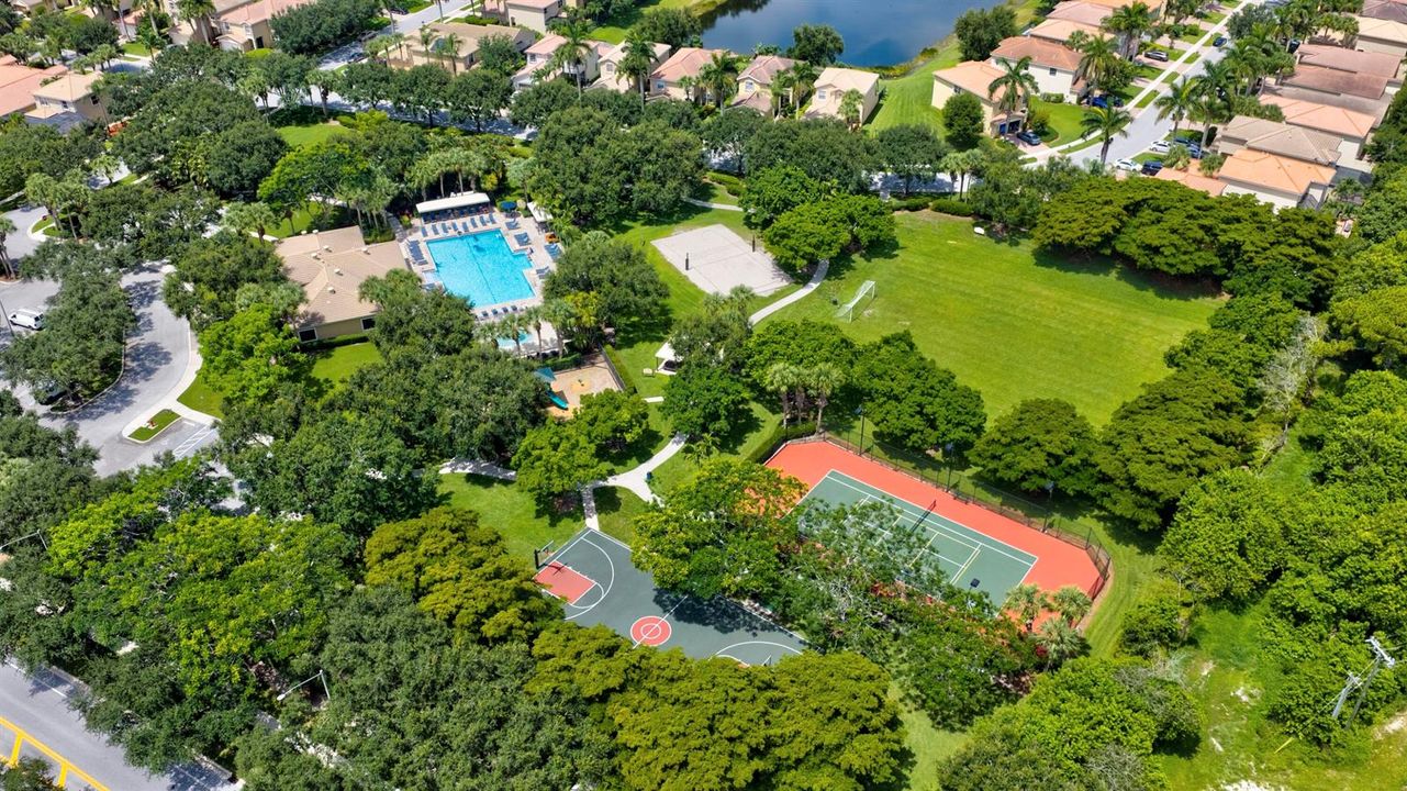 Aerial Shot
