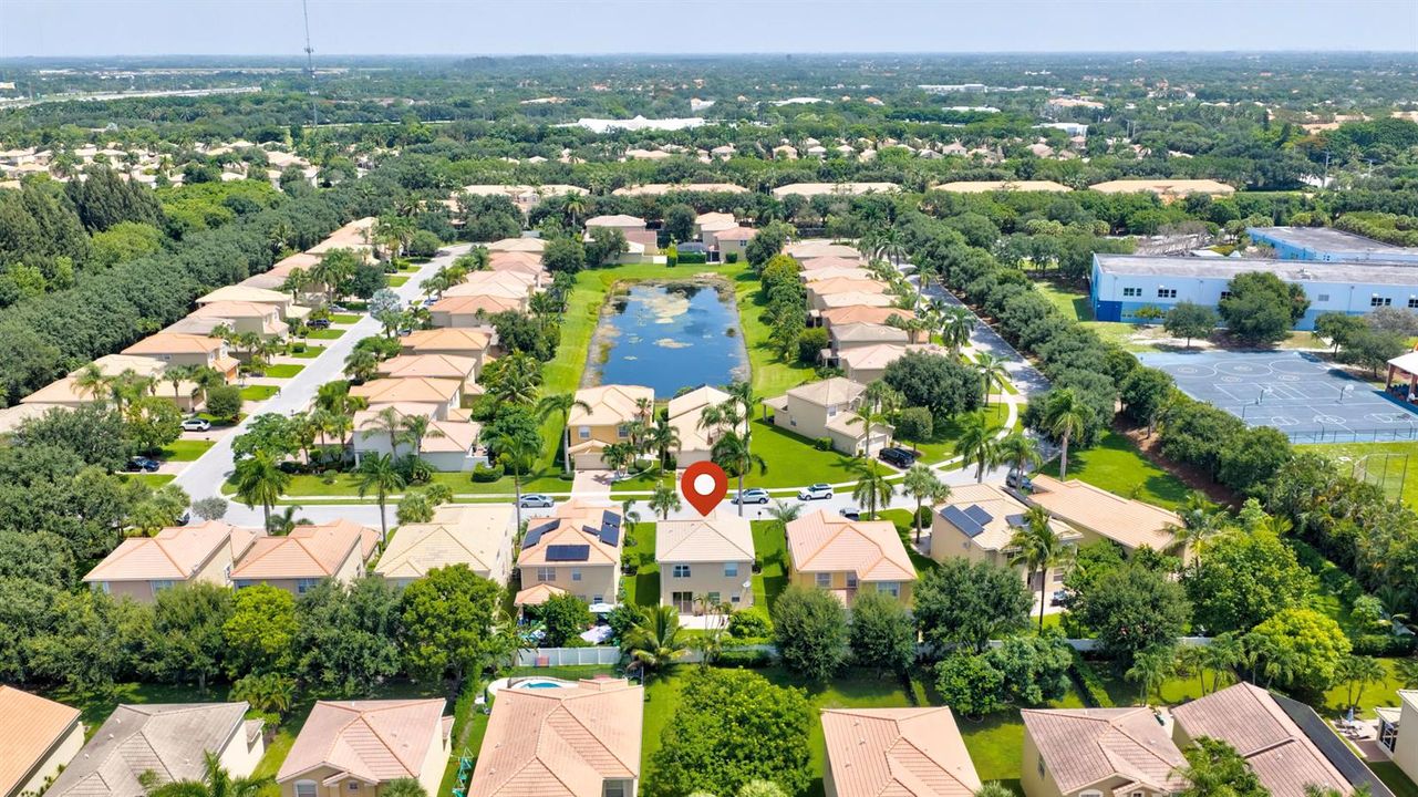 Aerial Shot