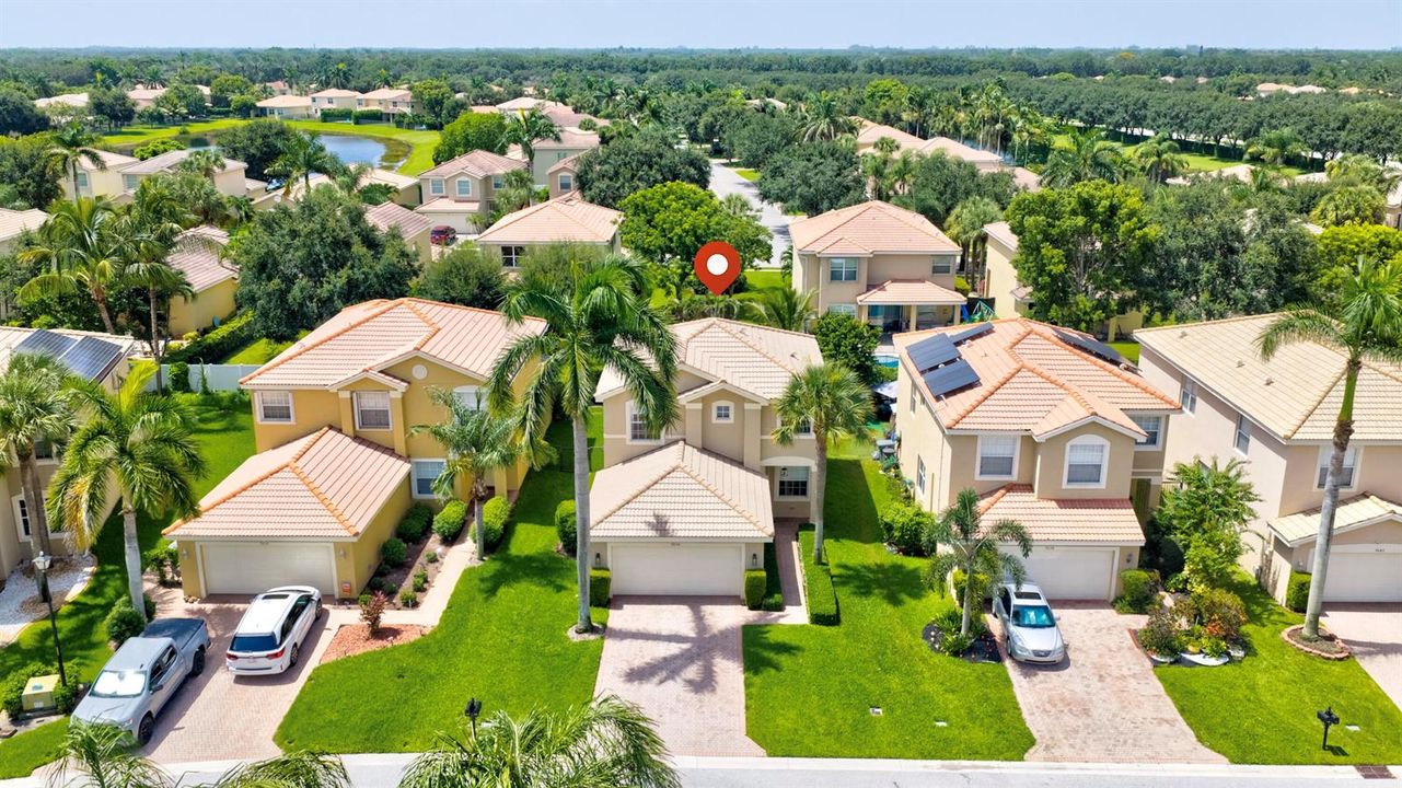 Aerial Shot