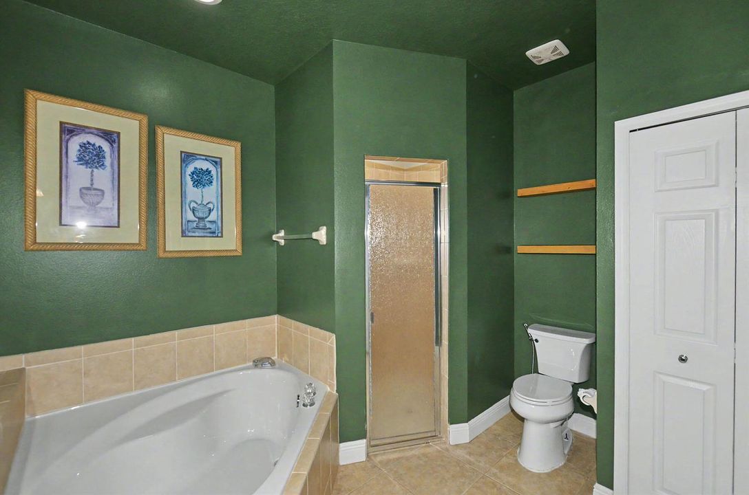 MainBathTubShw