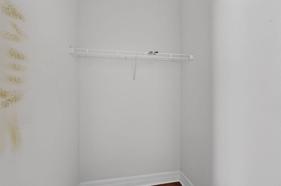 35-web-or-mls-P1346490