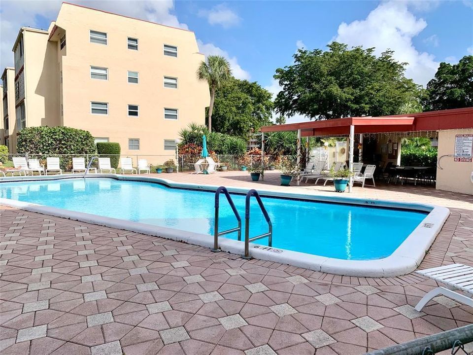 oriole pool1