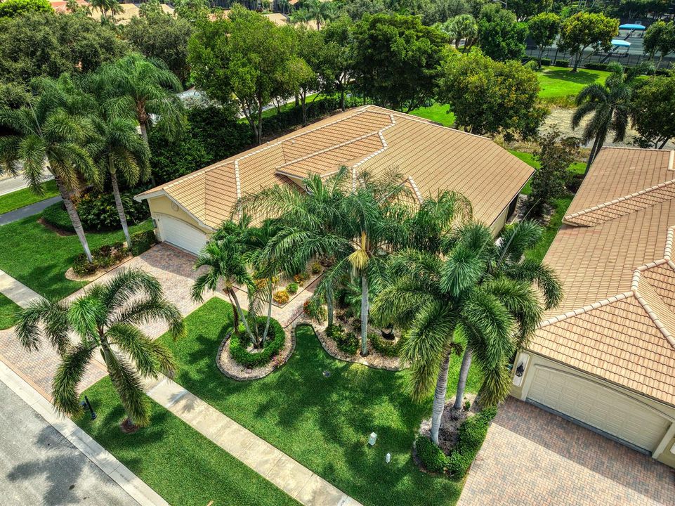 39 Aerial View