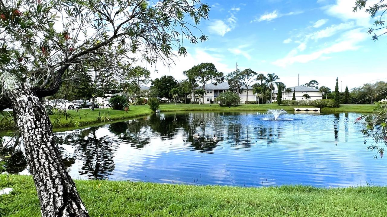 55 - Community Landscaping
