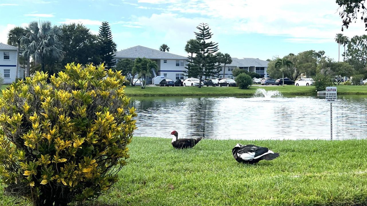 53 - Community Landscaping