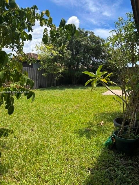 Backyard of the House
