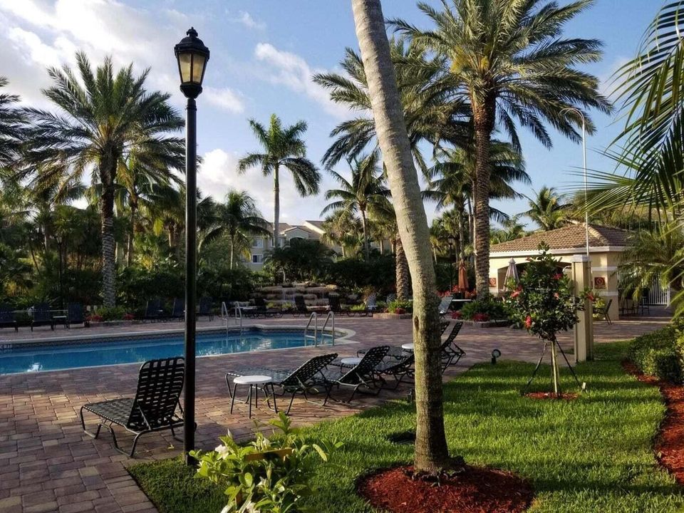 pool landscaping
