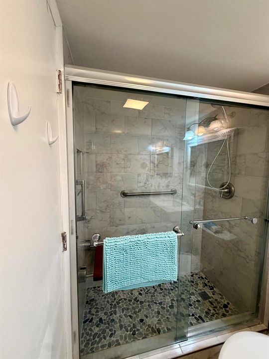 Primary Bathroom Shower