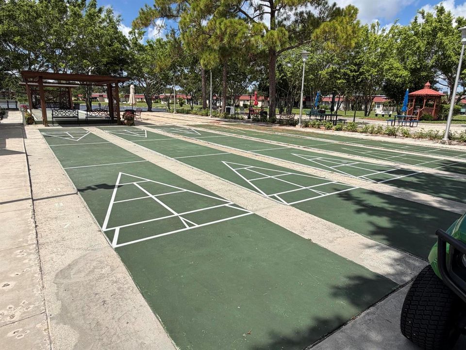 Community Shuffleboard