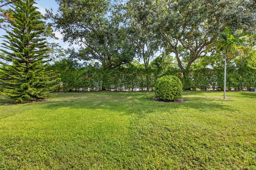 lakefrontyard