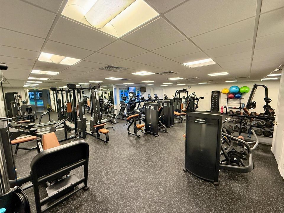 gym 3