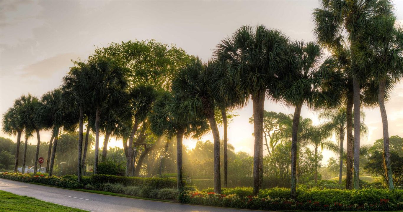 Boca West CC Golf c4-road