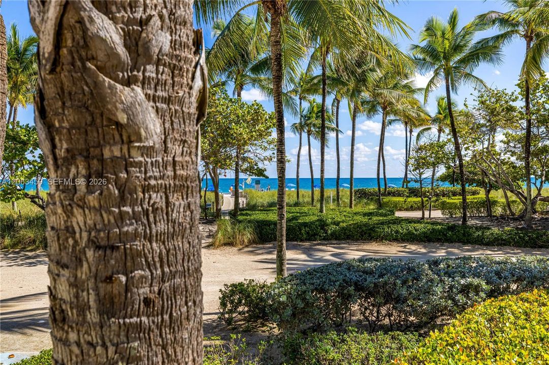 Ocean Promenade