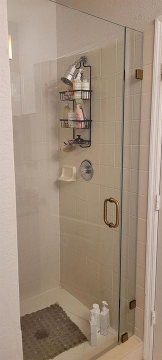 Primary Shower