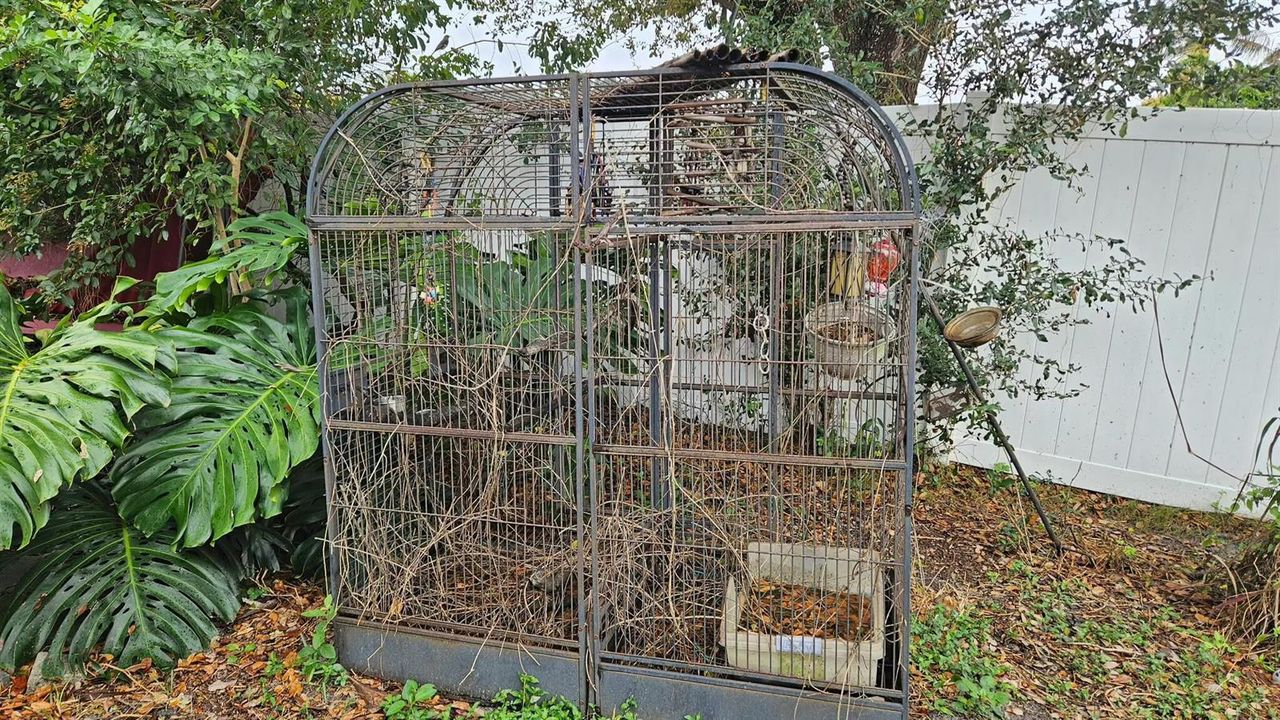 shed3
