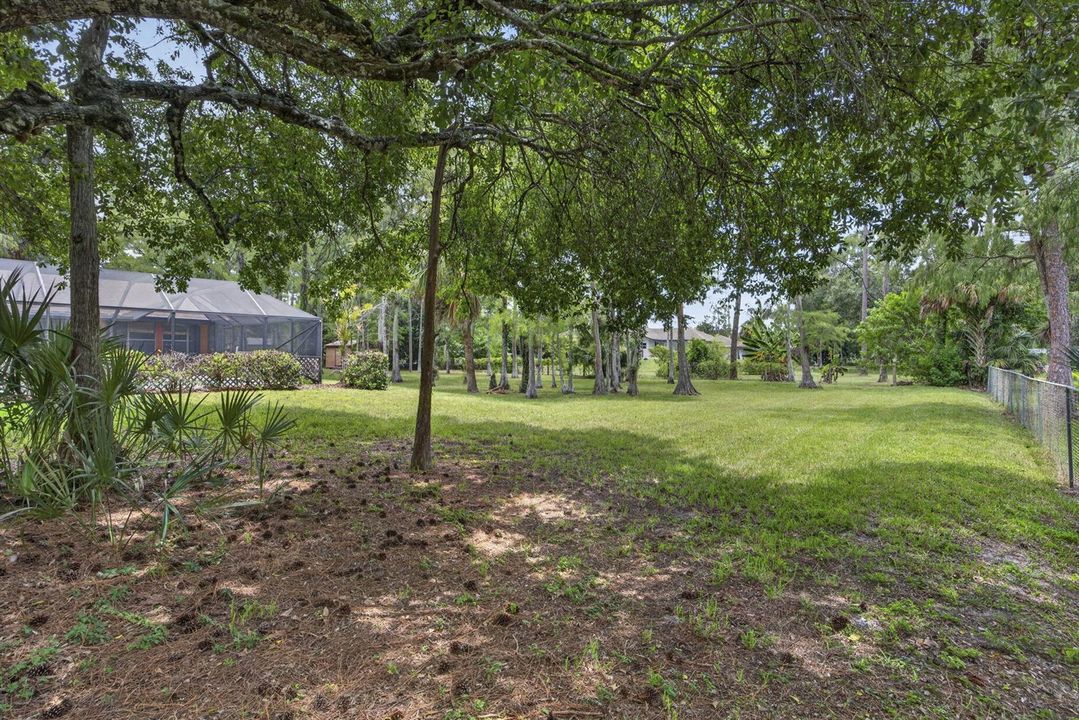 Backyard