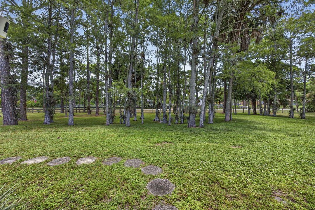 Front Yard