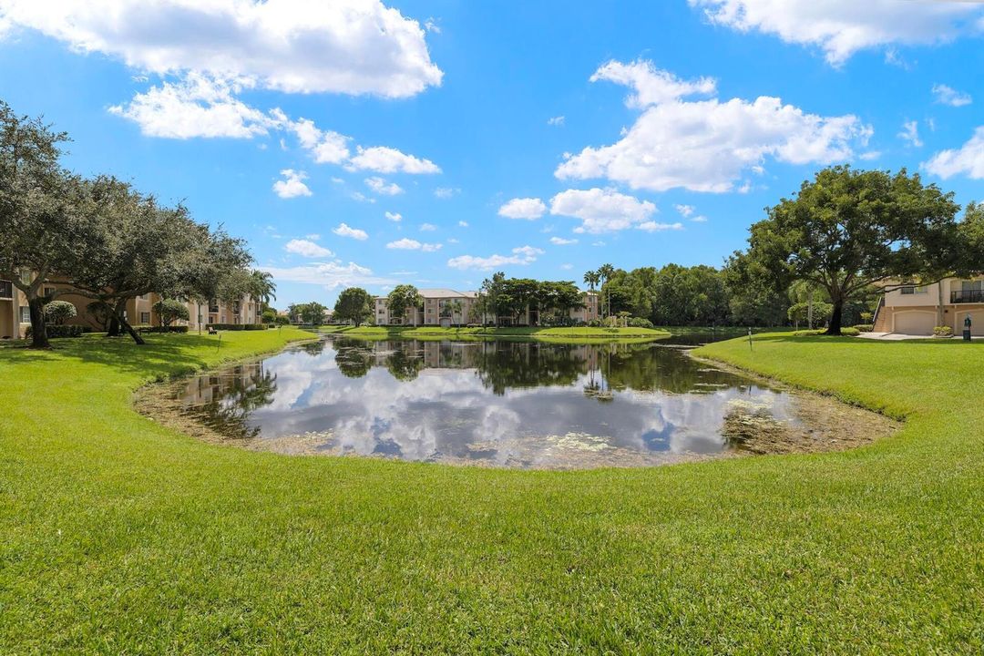 A grand backyard view