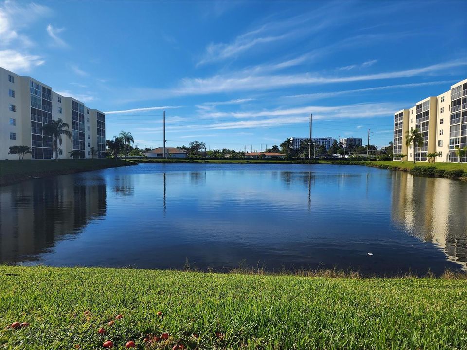 Lake view