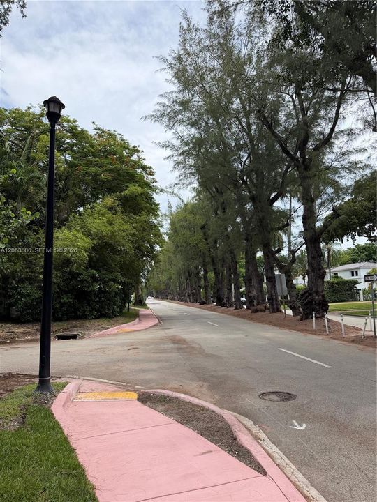 PINE TREE DRIVE