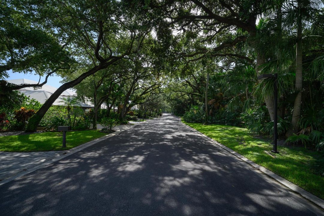 Beautiful tunnel street