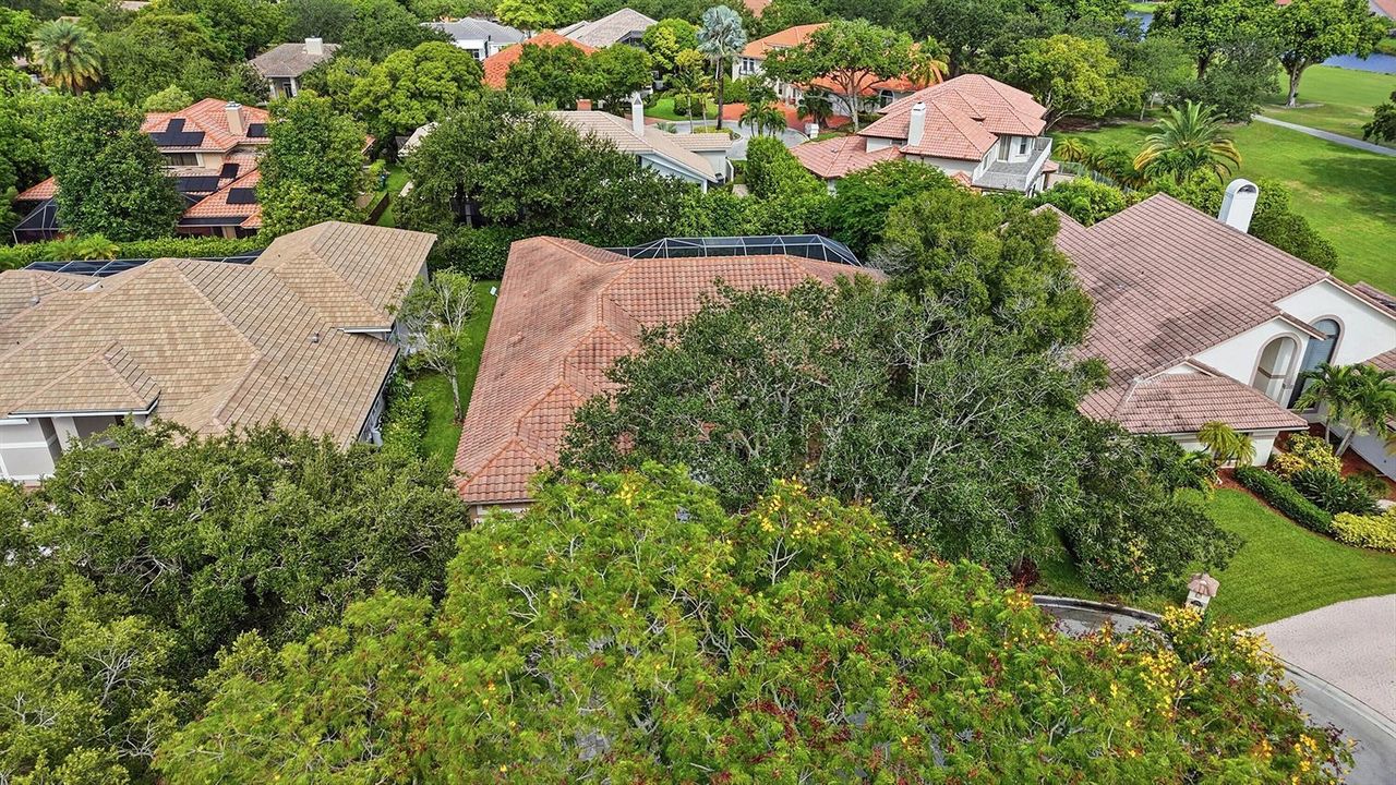55_dji_20260730221841_0688_d