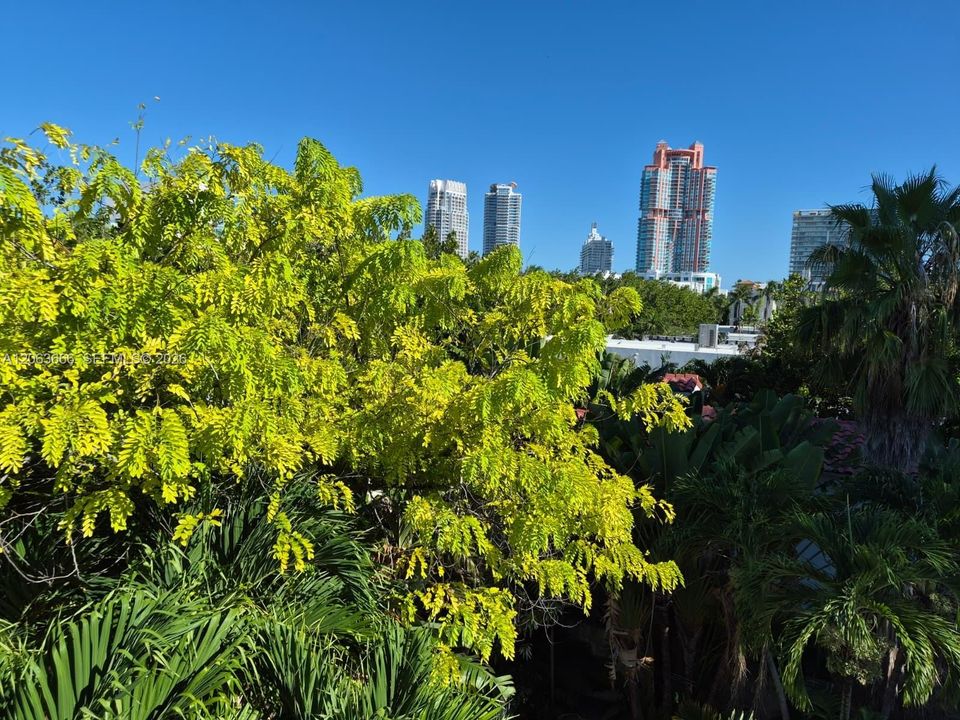 Bedroom view