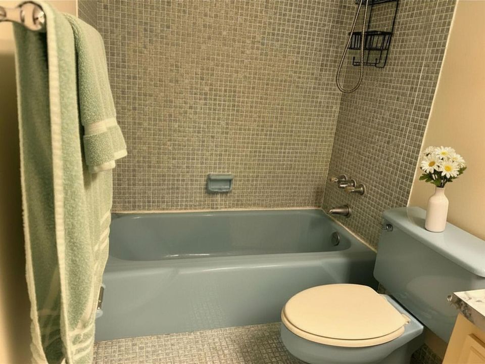 13 Primary bathroom showertub combinatio