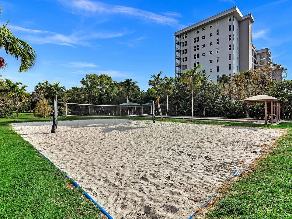 20 Volley and Bocce ball