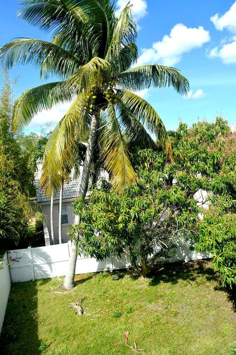 Yard