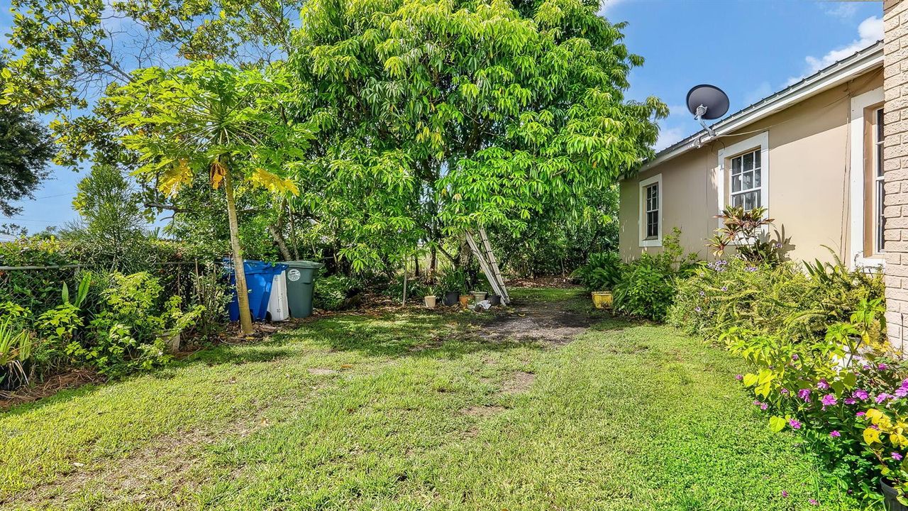 28-web-or-mls-DSC08764