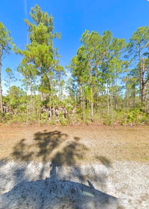 待售: $25,000 (0.50 acres)