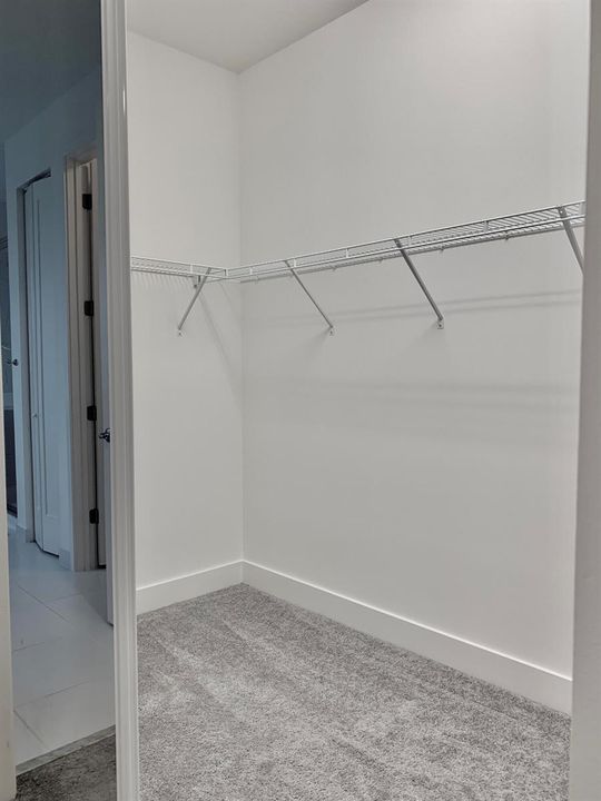 Her Master Closet