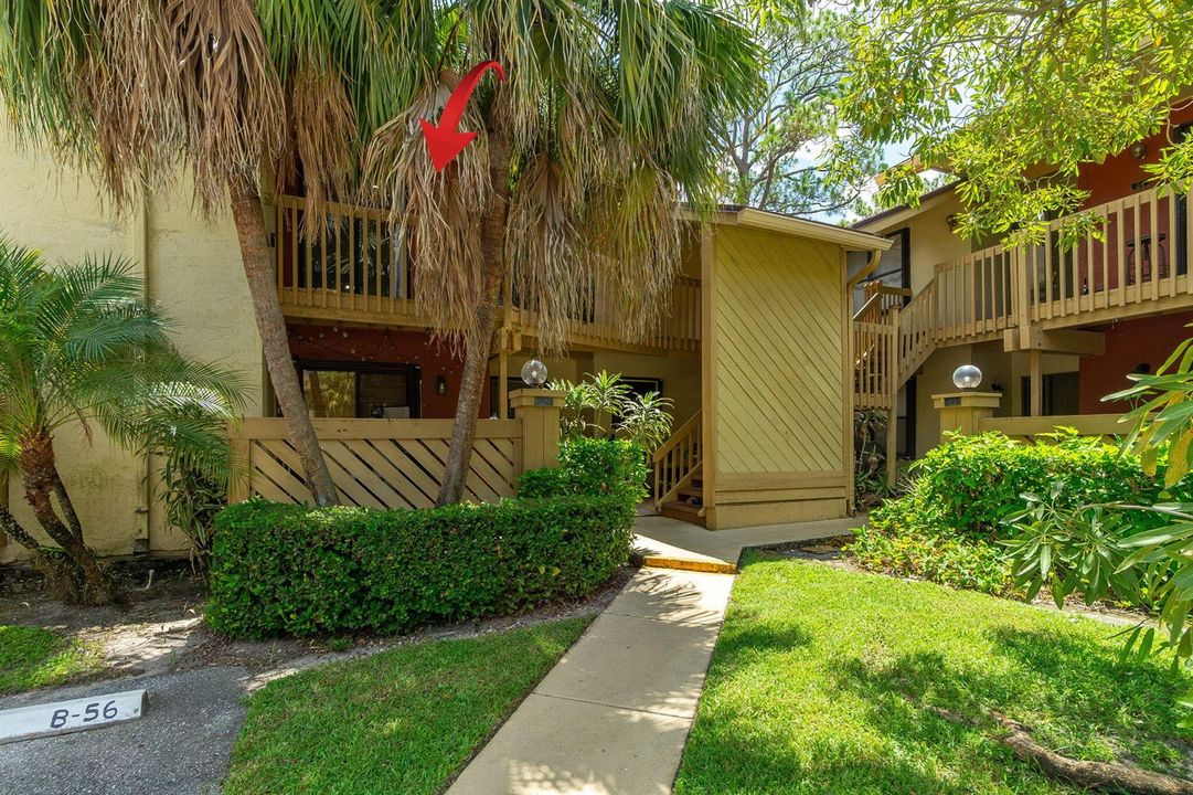 27-web-or-mls-DSC05952