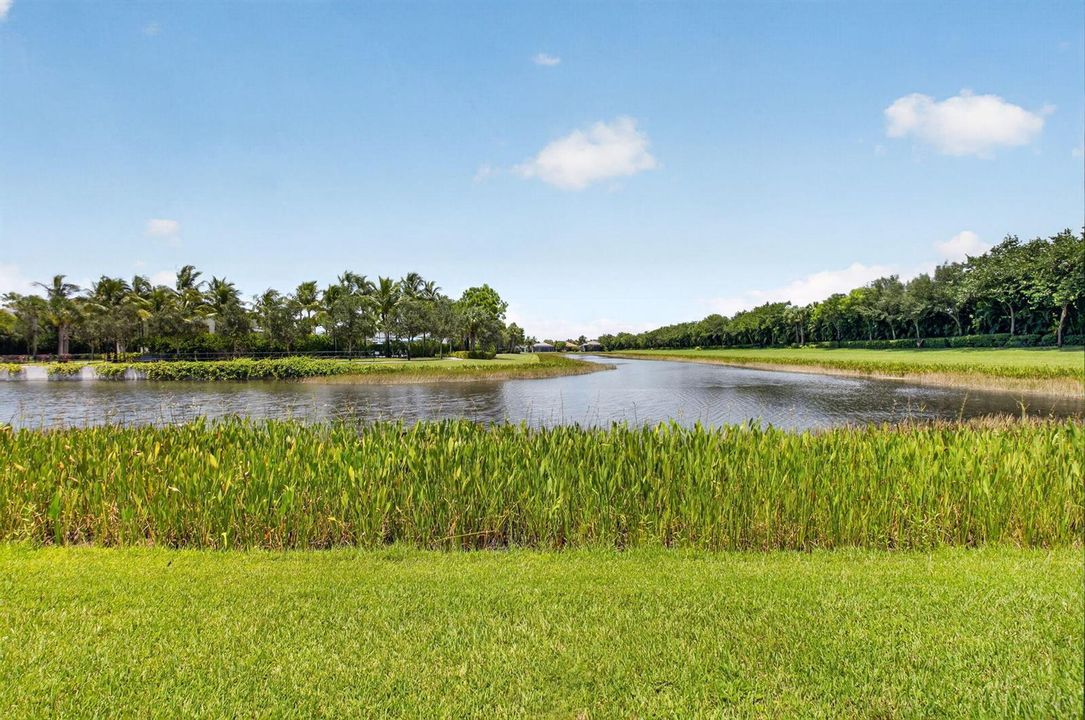 48-web-or-mls-48-print-DSC_8416