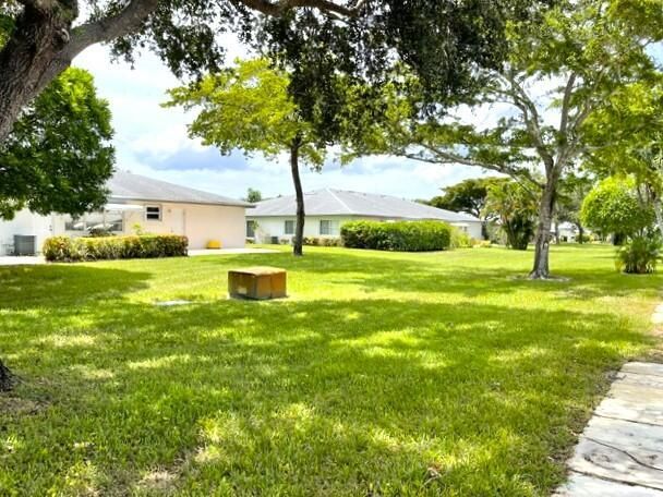backyard view