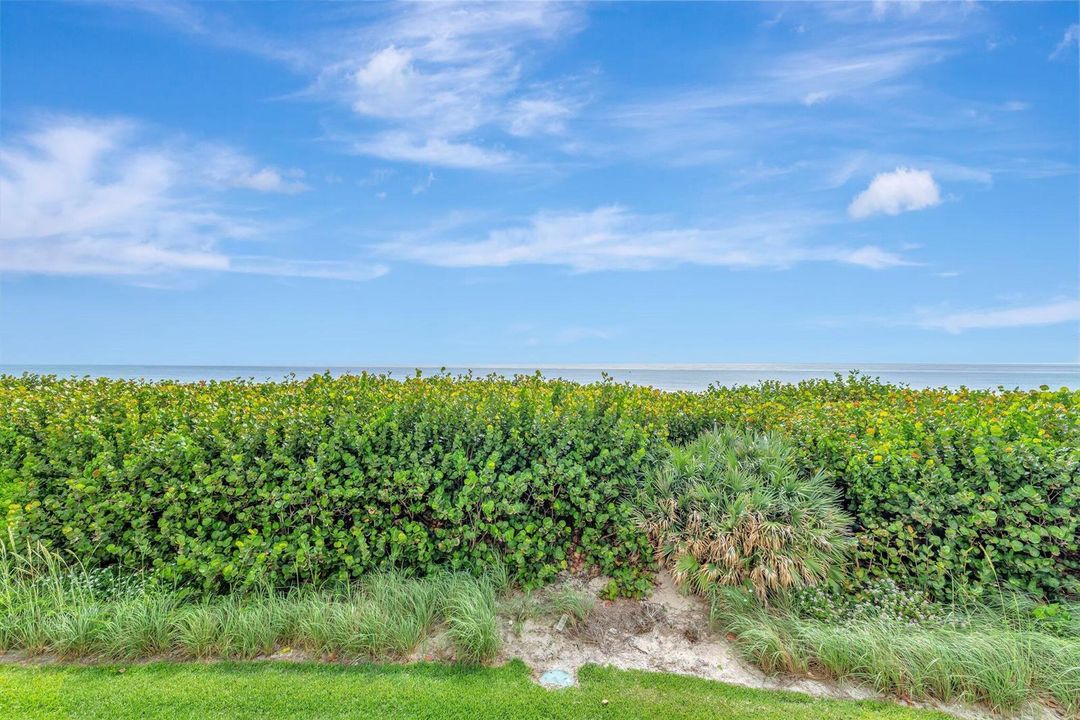 25-web-or-mls-3A5A4533