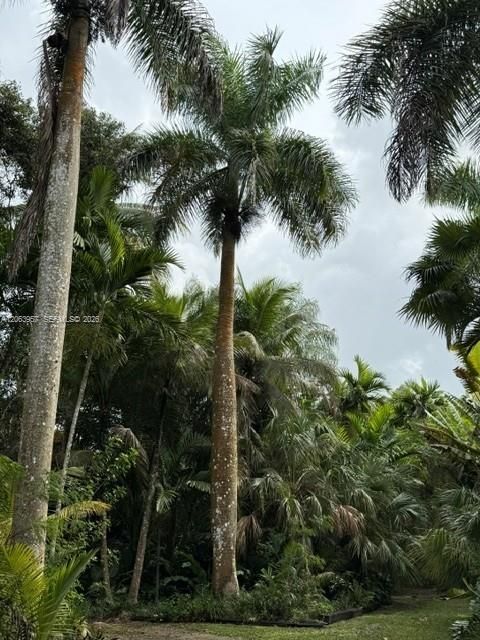 En Venta: $1,399,999 (3 camas, 3 baños, 1920 Pies cuadrados)