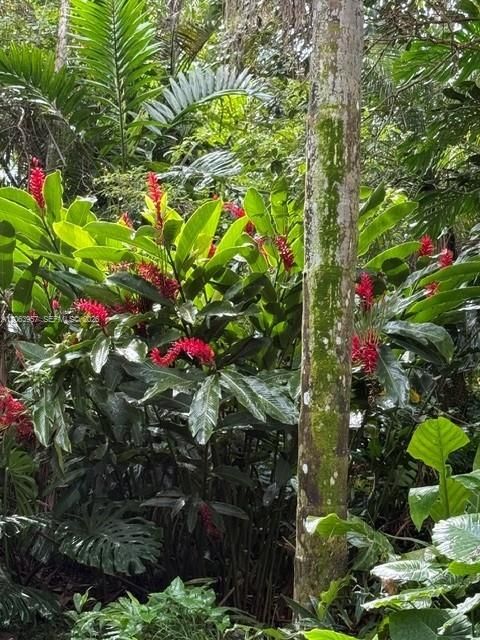 En Venta: $1,399,999 (3 camas, 3 baños, 1920 Pies cuadrados)