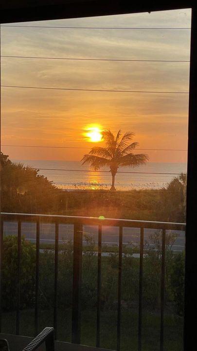 SUNRISE