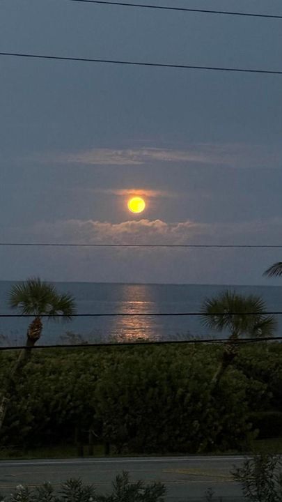 full moon