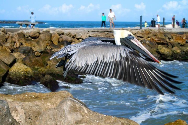 FORT PIERCE