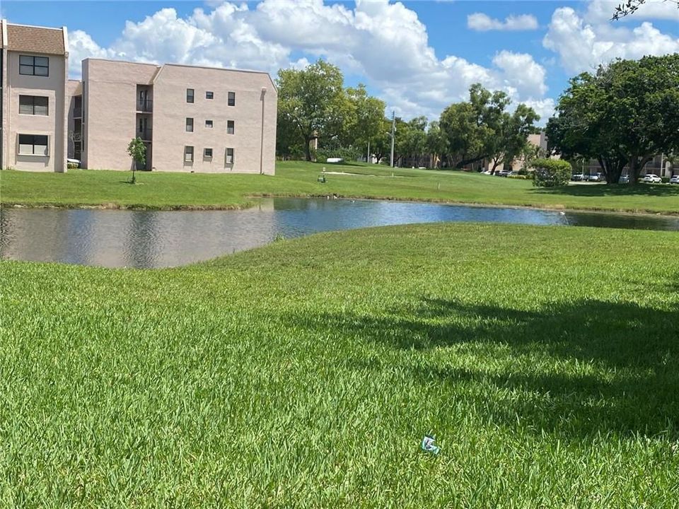 Golf and Lake view