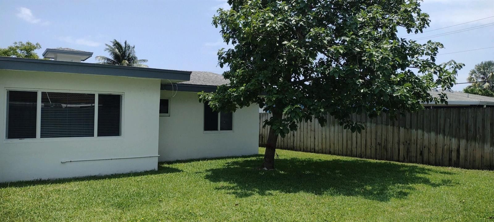 Rear Yard