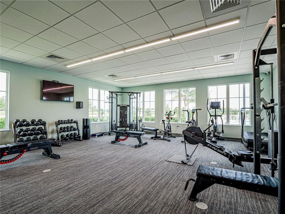 Fitness