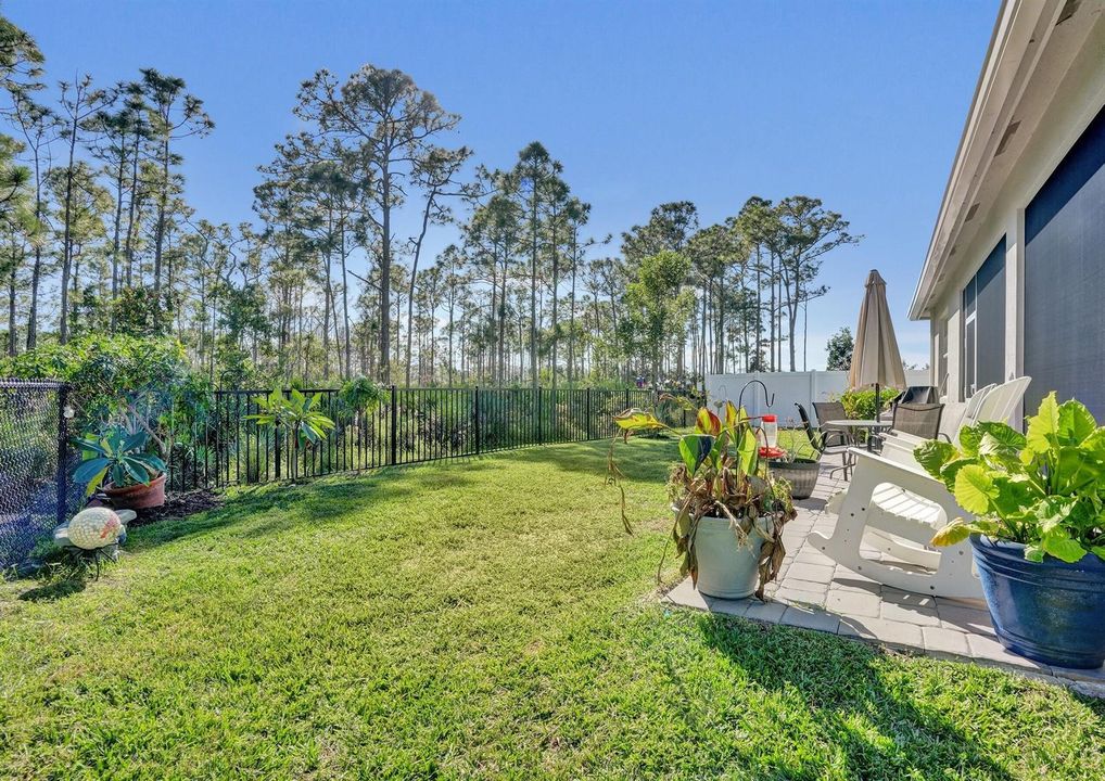 Fenced Yard