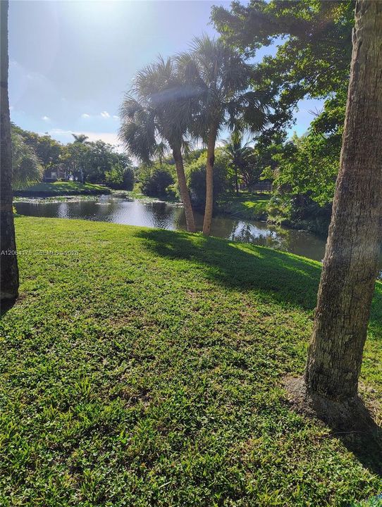 En Venta: $175,000 (1 camas, 1 baños, 950 Pies cuadrados)