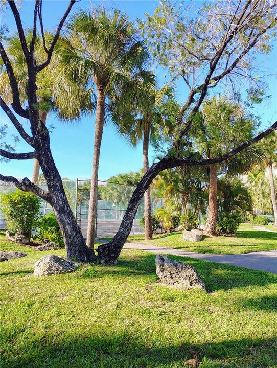 En Venta: $175,000 (1 camas, 1 baños, 950 Pies cuadrados)
